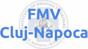 FMV Cluj-Napoca   E-learning